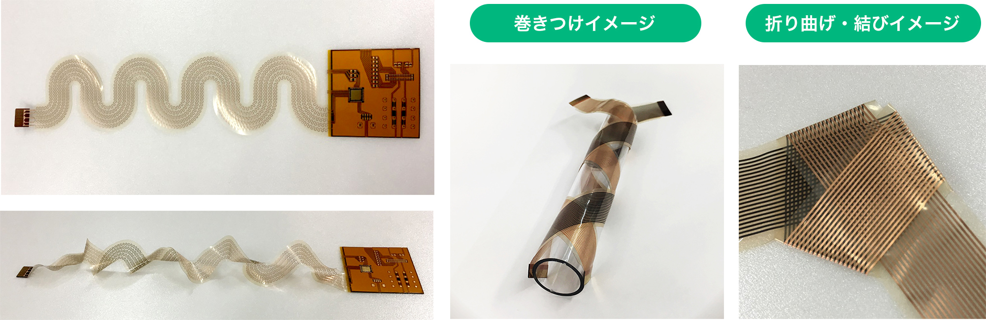 製品写真